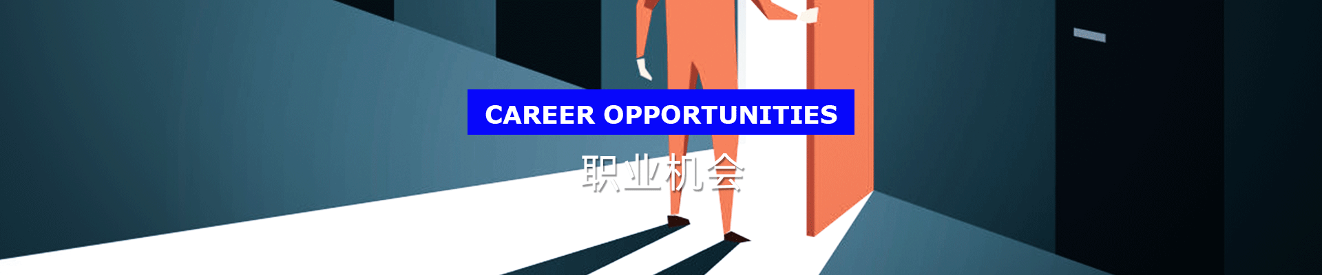 職業(yè)機(jī)會(huì)